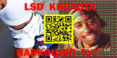 эйфоретик Новокубанск