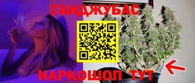 эйфоретик Новокубанск