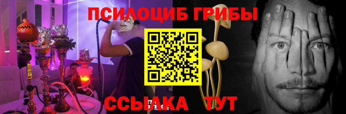 Галлюциногенные грибы GOLDEN TEACHER  Вход с VPN  Тимашёвск 